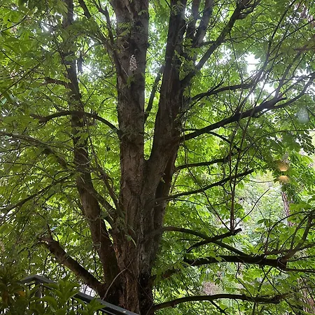 Room&breakfast D'annunzio Ravenna