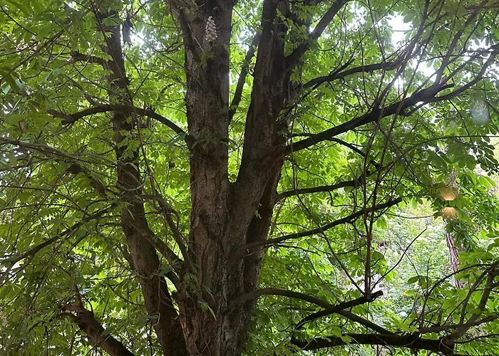 & Breakfast D'annunzio Rawenna